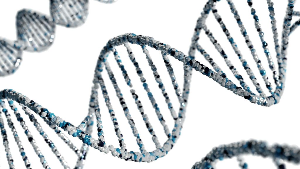 Direxion Daily S&P Biotech Bull 3X: A High-Octane Bet on the Biotech Sector